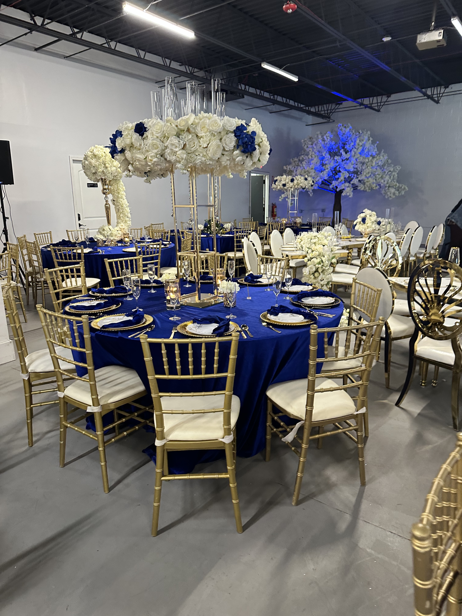 Designer Linens and Table Decor